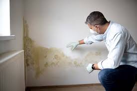 Best Comprehensive Air Testing for Mold Contaminants  in Clearlake, CA